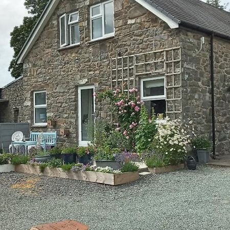Pant Glas Barn Llanbrynmair Exterior photo