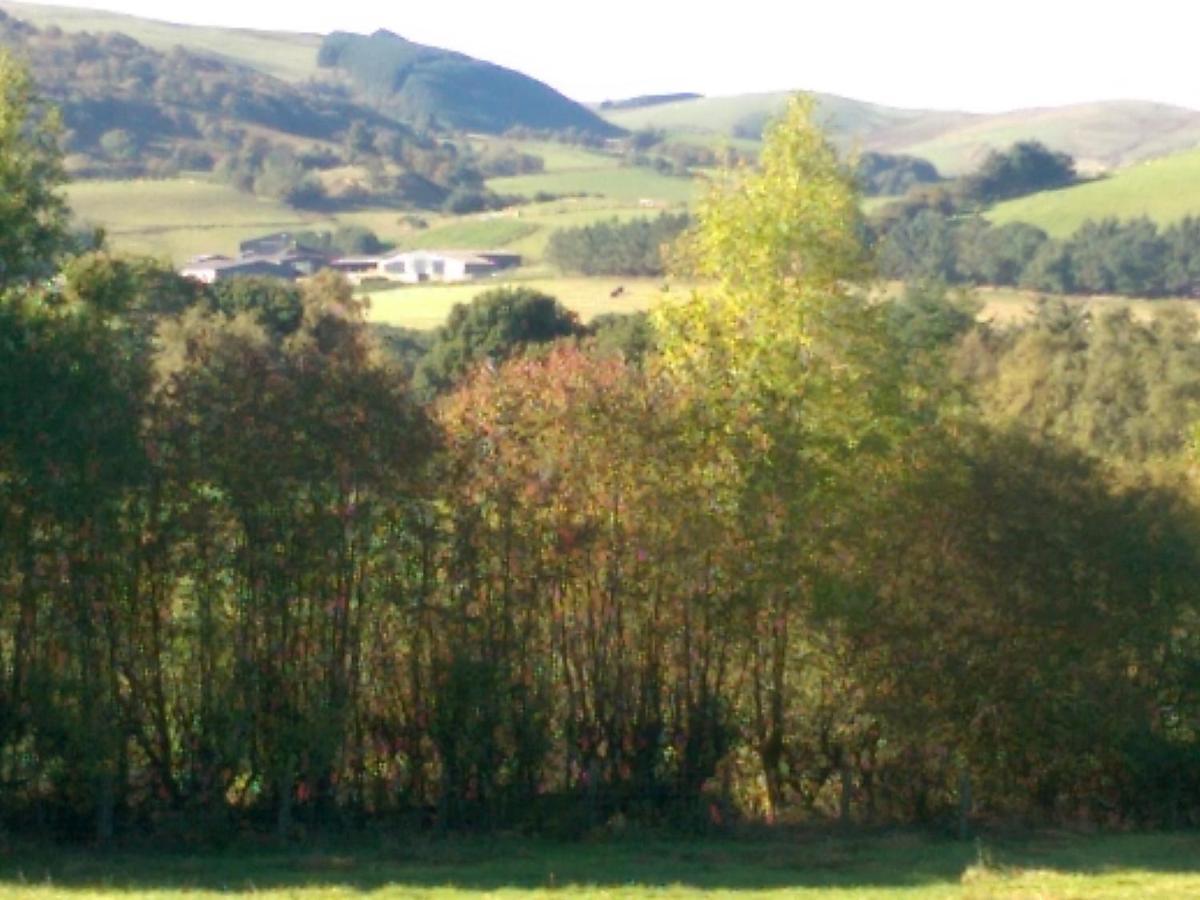 Pant Glas Barn Llanbrynmair Exterior photo