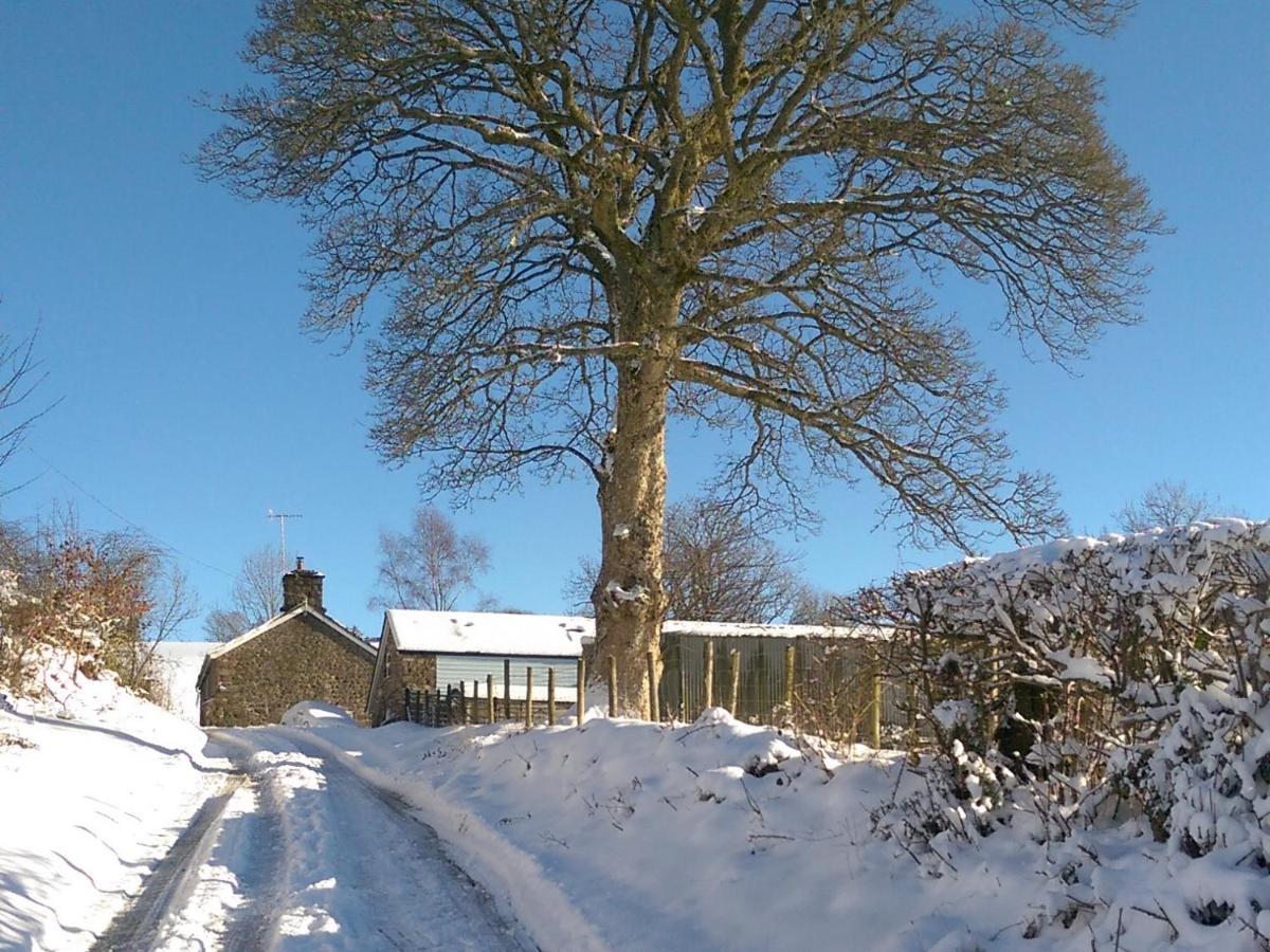 Pant Glas Barn Llanbrynmair Exterior photo